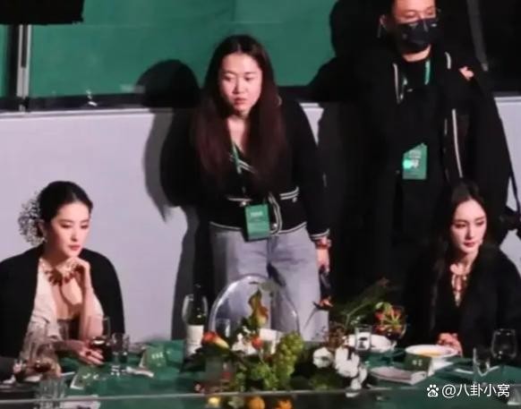 杨幂刘亦菲两家粉丝开撕，杨幂粉丝阴阳刘亦菲，陈金飞再度被提到，杨幂刘亦菲互撕背后的名利场真相