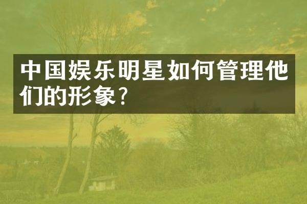 中国娱乐明星如何管理他们的形象?