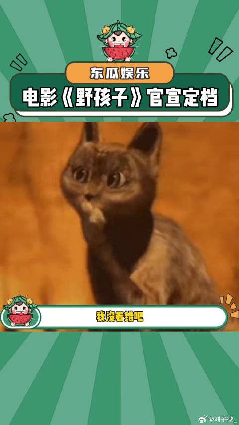 救赎不了八岁的自己，那就救赎现在的你 微博VC计划