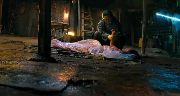 明星新挑战与影视作品新动态