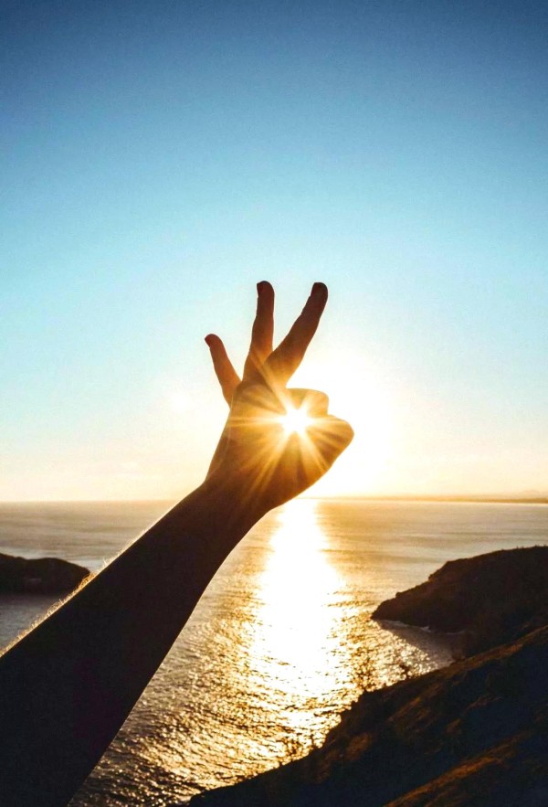 星象解读：金星位于第十宫对职场与生活的影响