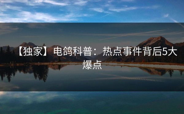 【独家】电鸽科普：热点事件背后5大爆点