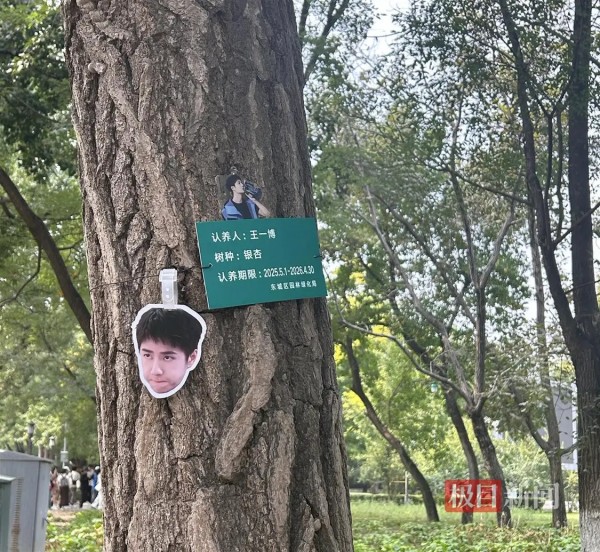 北京地坛公园多棵树木被多位知名明星“认养”，有外地粉丝专门来打卡