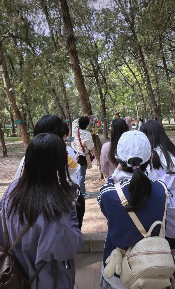 地坛公园明星树亮相 引发粉丝热潮