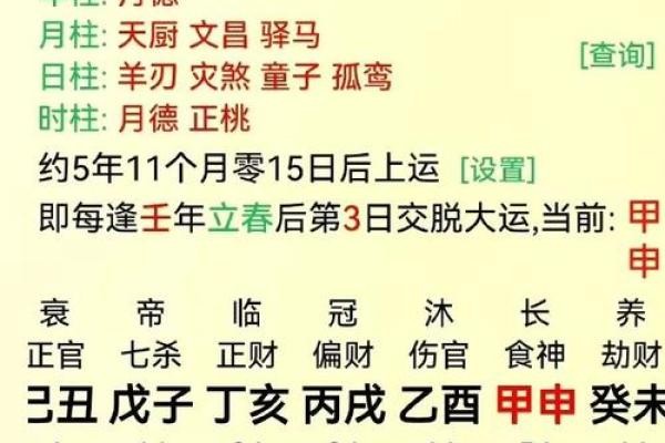 名人生辰八字命盘分析