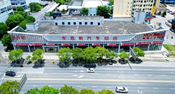 张佩佩在车直优的蜕变与成长之旅