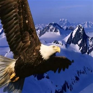 郑爽天娱传媒因著作权纠纷被起诉