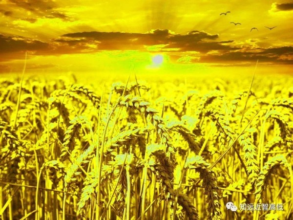 为什么你要给自己的人生定位？当然是.....