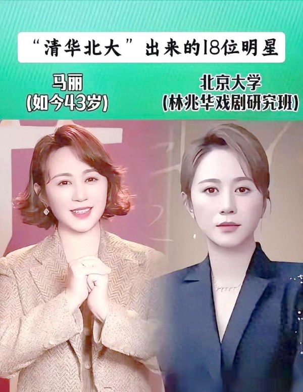 明星学霸的成功之路：艺术与学术的交响曲