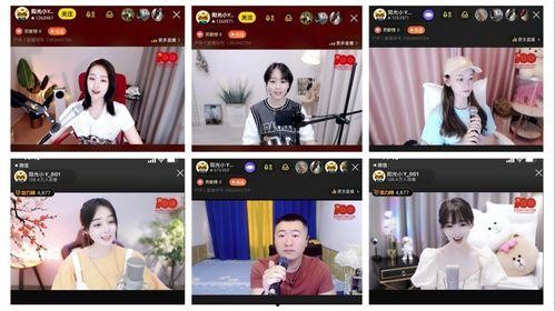 吃瓜大赛在线视频直播,全民互动，笑料横飞