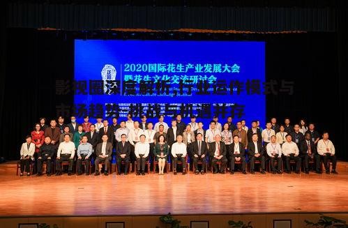 四、国际市场与文化交流