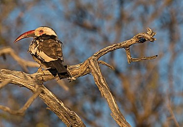 黑料吃瓜XGUA99.TV：揭秘明星隐私风波,黑料网站引发法律与道德争议-3
