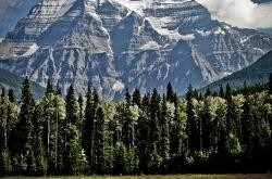 4位明星减肥经验实录