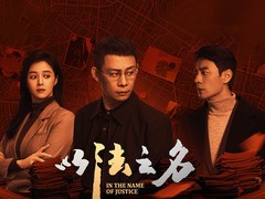 以法之名 周德华
