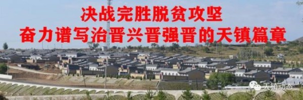 天镇县上吾其村：农业转型的“新明星”