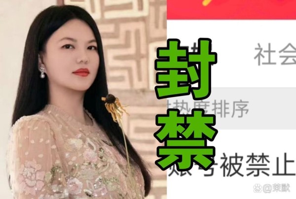 李湘的社交媒体账号接连被禁止关注,这...@茉默的动态