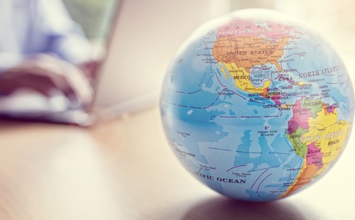 洋葱包的英文怎么说