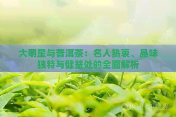 大明星与普洱茶:名人热衷、品味独特与健益处的全面解析