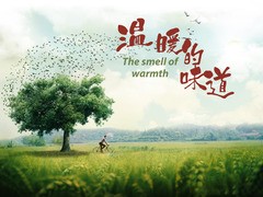 温暖的味道 毛晓慧