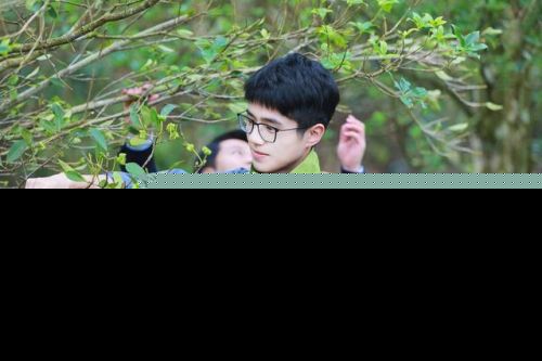 刘昊然爬树这姿势真专业!脱贫攻坚星光行动还有哪些明星