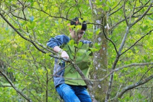 刘昊然爬树这姿势真专业!脱贫攻坚星光行动还有哪些明星