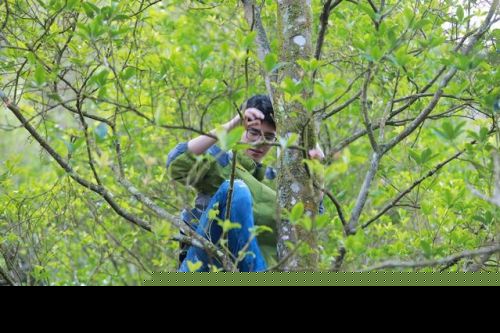 刘昊然爬树这姿势真专业!脱贫攻坚星光行动还有哪些明星