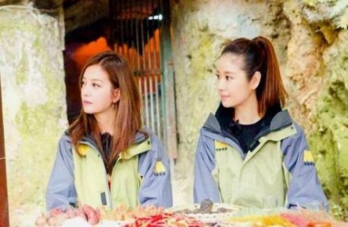 刘昊然爬树这姿势真专业!脱贫攻坚星光行动还有哪些明星