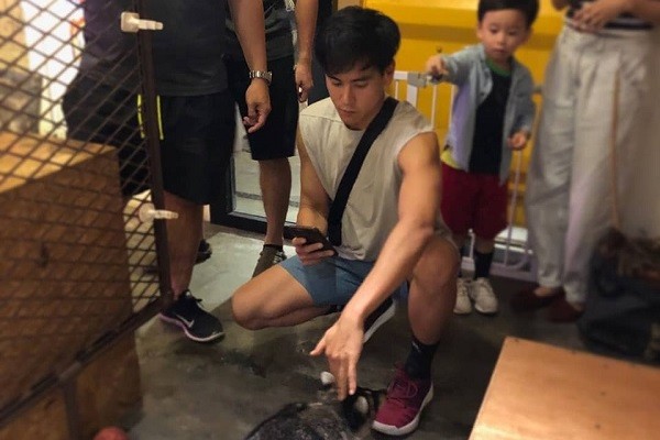 明星彭于晏也前來與呆萌圓潤浣熊親密接觸。