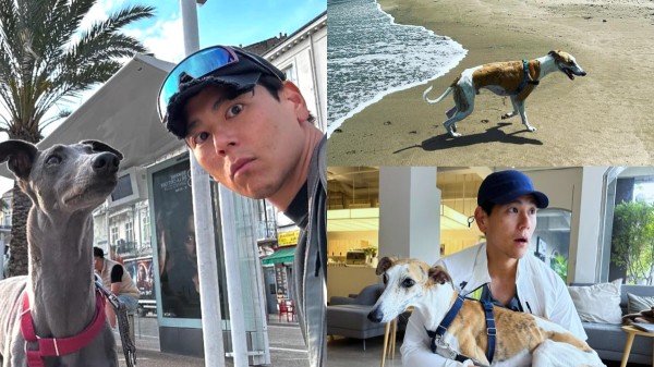 【大明星去哪玩】彭于晏私房景點都在這!領養3隻毛孩背後故事藏洋蔥