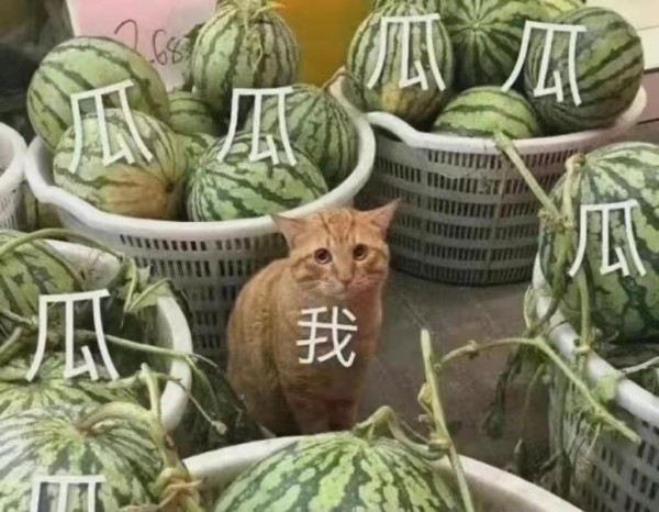 五月才过去四天，就有6个瓜，失联，订婚，应有尽有