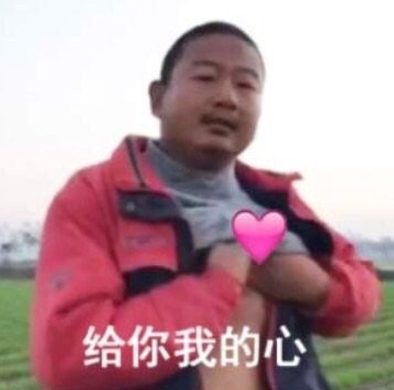给你我的心(giao哥)_giao表情