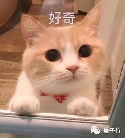 我和欧阳娜娜一起搞研发 – 量子位