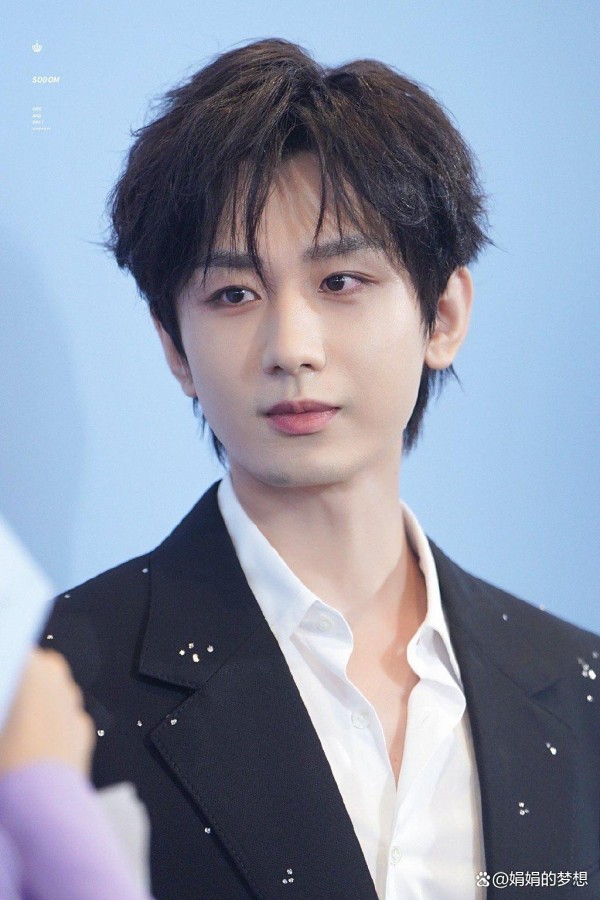 湘西小村走出的顶流成毅从拿树枝当剑的野小子到凭43条吐血戏封神