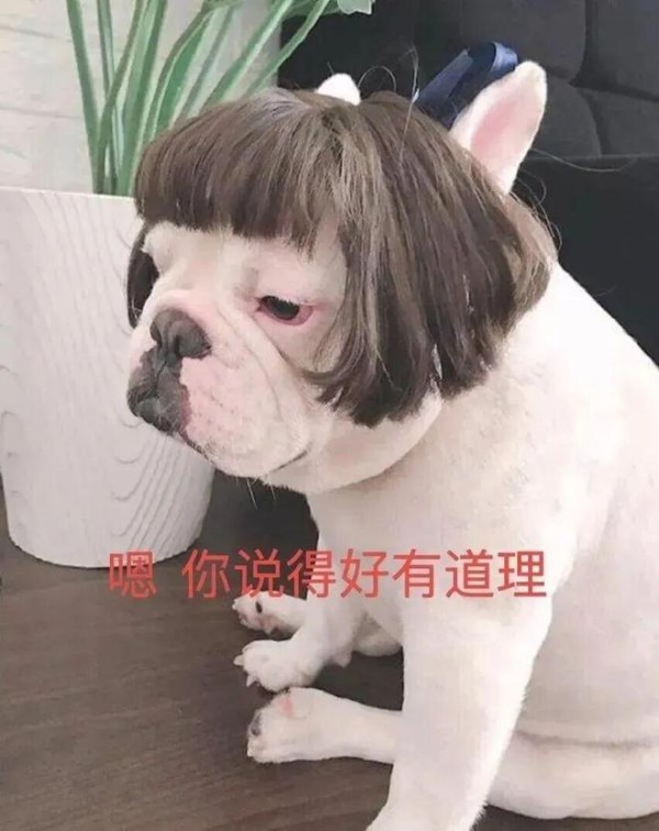 奇怪，平日呼风唤雨兴风作浪，怎么突然呆若木鸡