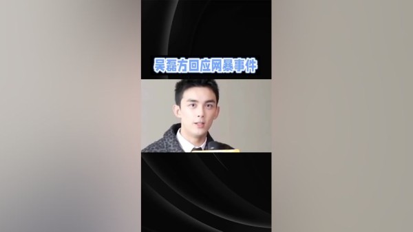 吴磊强力回击网暴。