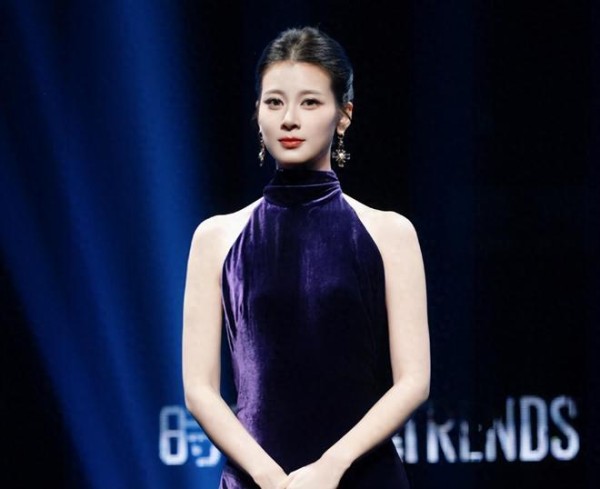 时尚之夜红毯引争议,热度低的赵昭仪竟“让妆”?不红是原罪吗