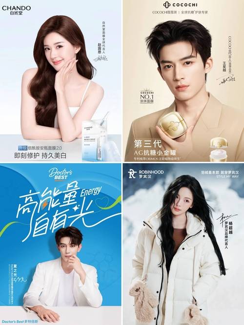 明星代言人官方正式版下载最新版的深度分析与市场洞察