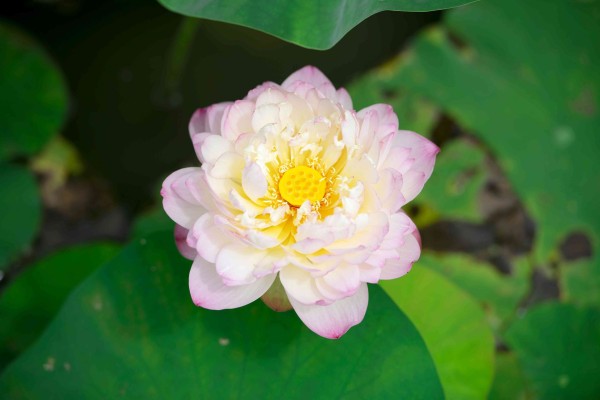 全球十大灾难，历史的痛楚与未来的警示，或者，全球十大灾难盘点，历史的烙印与未来的警示