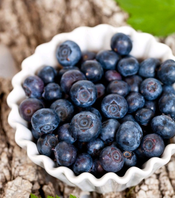 美食与大脑：明星们的秘密武器