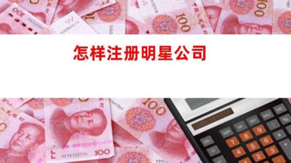 怎样注册明星公司图3