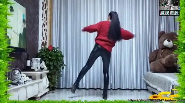 抖音热门舞蹈全攻略:零基础变身舞蹈达人