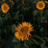 微博之夜明星们的红毯...