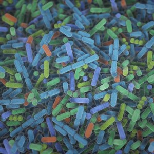 人体内的微生物战争：揭秘病毒与细菌的慢节奏对抗