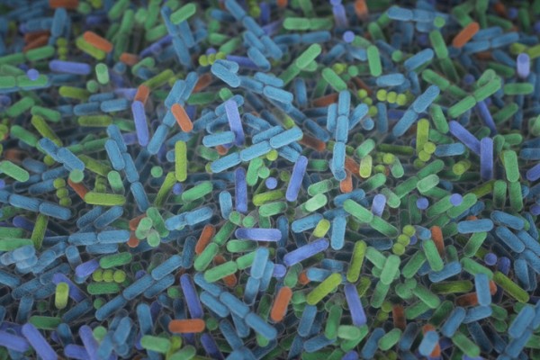 （来源：MIT News）