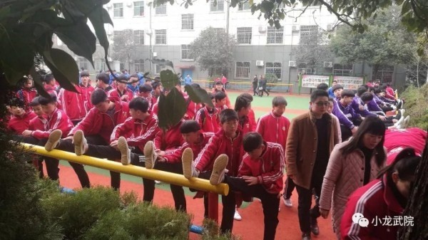 河南嵩山少林文武学校出来的名人有哪些？2025年明星校友全解析、成长路径与文武教育价值深度剖析