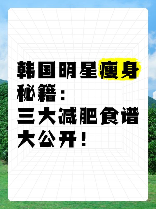 韩国明星瘦身秘籍：三大减肥食谱大公开