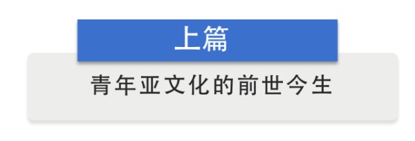 半月谈｜从“杀马特”到“鬼畜”，中国网络的数百种“亚文化”圈层正在发生什么？