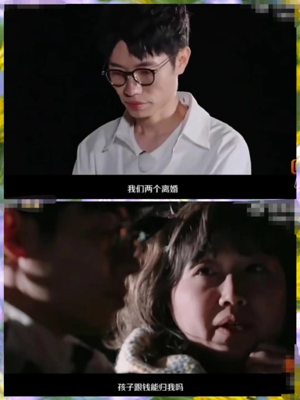 李行亮与麦琳离婚大战:抚养权争夺引发的轩然大波