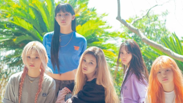 NEW JEANS 成员 韩国流行女子组合 韩国流行女子组合