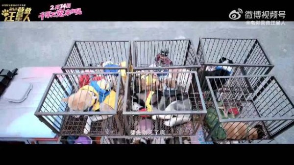 成毅9年前拍的电影